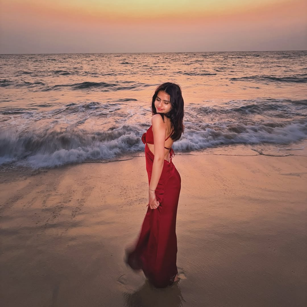 NARA DRESS